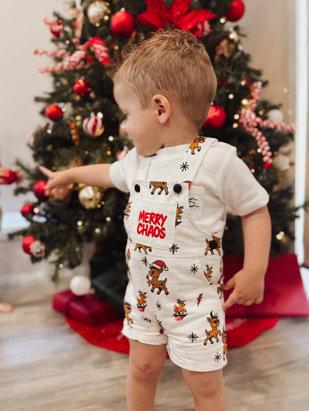 MERRY CHAOS OVERALLS