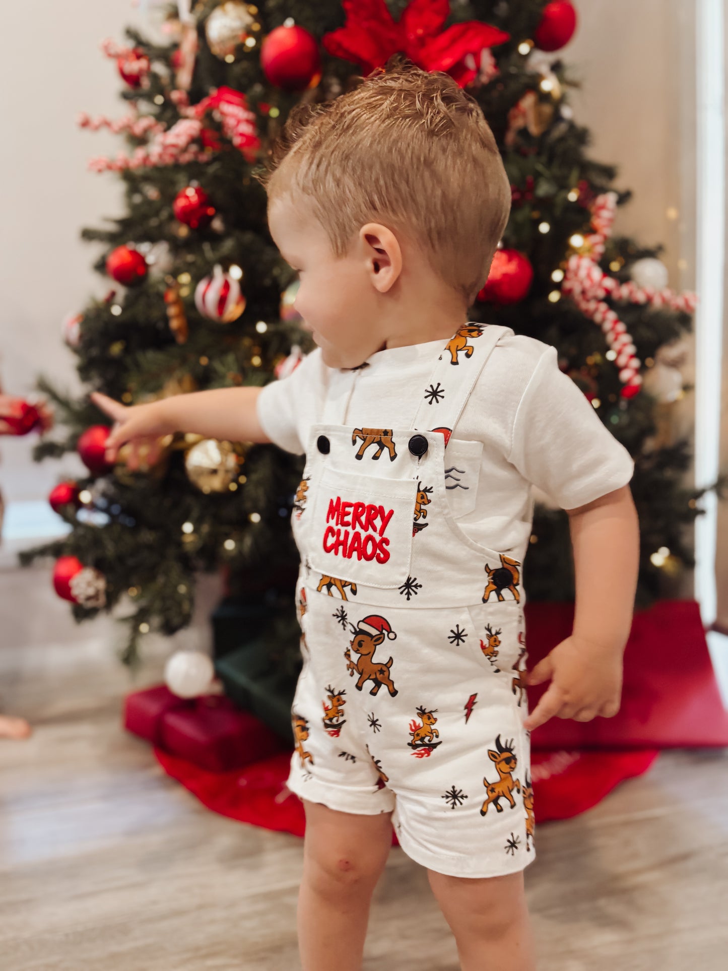 MERRY CHAOS OVERALLS