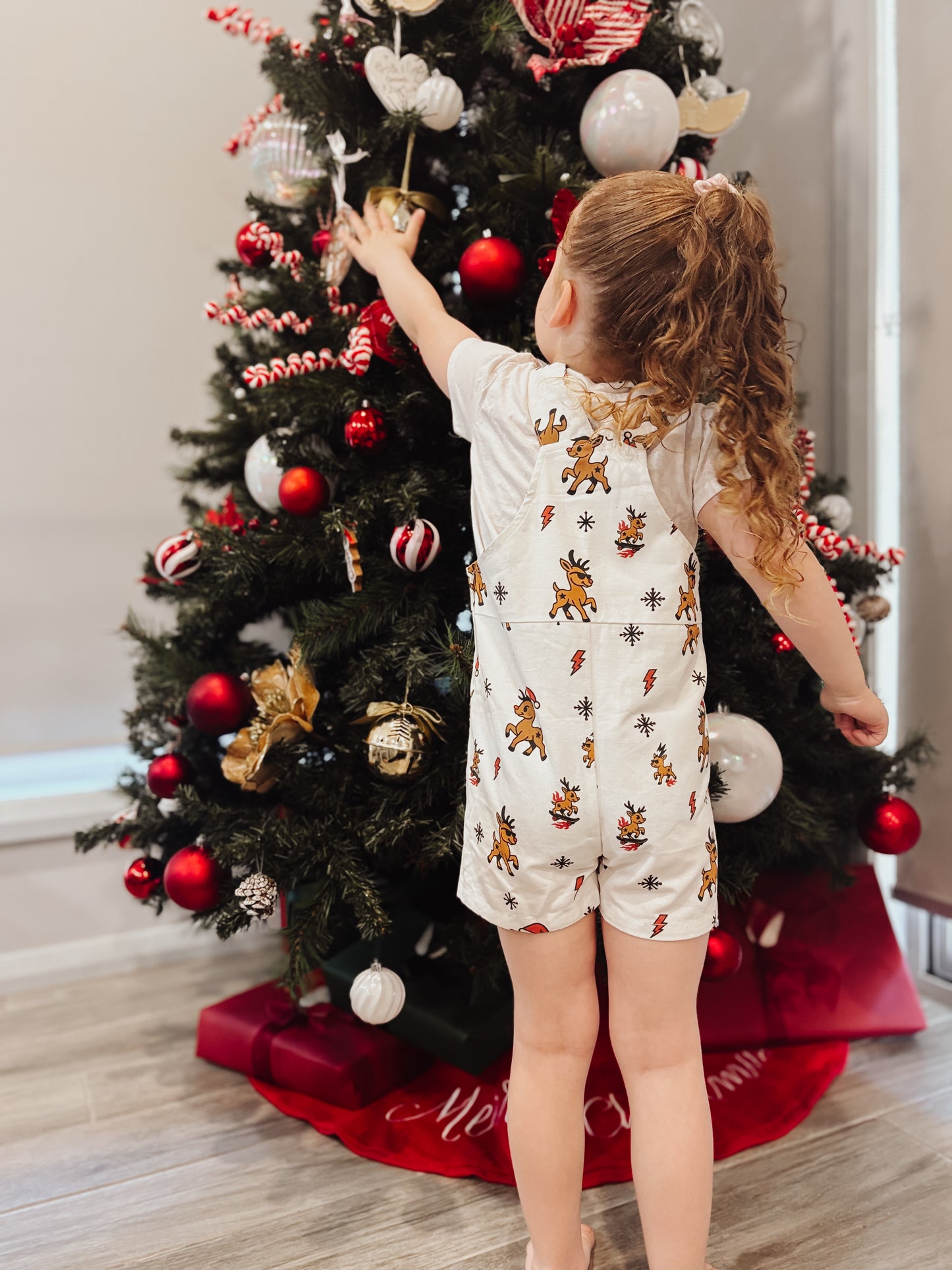 MERRY CHAOS OVERALLS